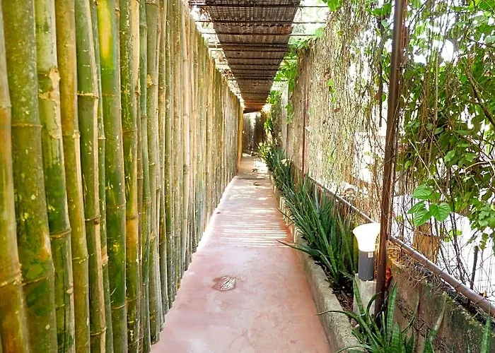 Reddoorz Near Maribago Barangay Hall 2* 막탄
